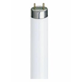 Stearn 16W 29" T8 Triphosphor Cool White T8 Fluorescent Tube