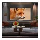 LG OLED65C56LB .AEK 65" 4K Smart TV additional 4