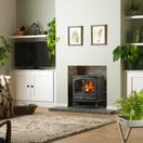 DIMPLEX FOR20 Fortrose Optimyst Stove additional 5