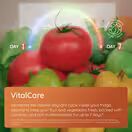 HOTPOINT HPG26513XK5E Dual No Frost American Fridge Freezer - Black Steel additional 7