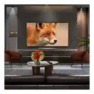 LG OLED48C56LB.AEK 48" 4K OLED Smart TV additional 4