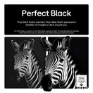 LG OLED65B56LA.AEK 65" 4K Smart TV additional 7