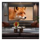 LG OLED83C54LA.AEK 83" 4K Ultra HD OLED evo AI C5 Smart TV additional 5