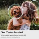 SAMSUNG QE55Q7F2AUXXU 55" 4K QLED AI Smart TV additional 4