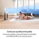 DYSON PH05 De-Nox Humidify &amp; Cool Purifier - White/Gold additional 2