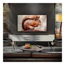 LG OLED48B56LA.AEK 48" 4K OLED Smart TV additional 2