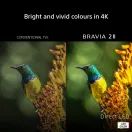SONY K75S25M2PB.UKA 75" 4K BRAVIA 2 II Direct LED Google TV additional 4