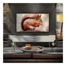 LG OLED55B56LA.AEK 55" 4K OLED Smart TV additional 4