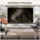 LG OLED83C66LB.AEK 83" 4K OLED Smart TV additional 11