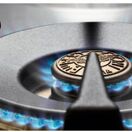 Bertazzoni Professional 110cm Range Cooker XG Oven Dual Fuel Stainless Steel PRO116L3EXT additional 5