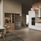 HAIER HCR3818ENMM American Style Fridge Freezer - Platinum Inox additional 14