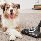 Miele CX1BLIZ_CAT_DOG Blizzard Comfort Cat & Dog Cylinder Vacuum Cleaner - Grey additional 3