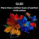 TCL 75P7K-UK 75" 4K QLED Direct LED HDR Google TV additional 7