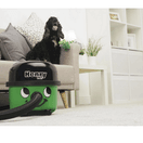 NUMATIC 906766 Henry Pet Vacuum Cleaner - Green/Black additional 3