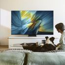 SAMSUNG QE83S95FAEXX U 83" 4K OLED Smart AI TV additional 4